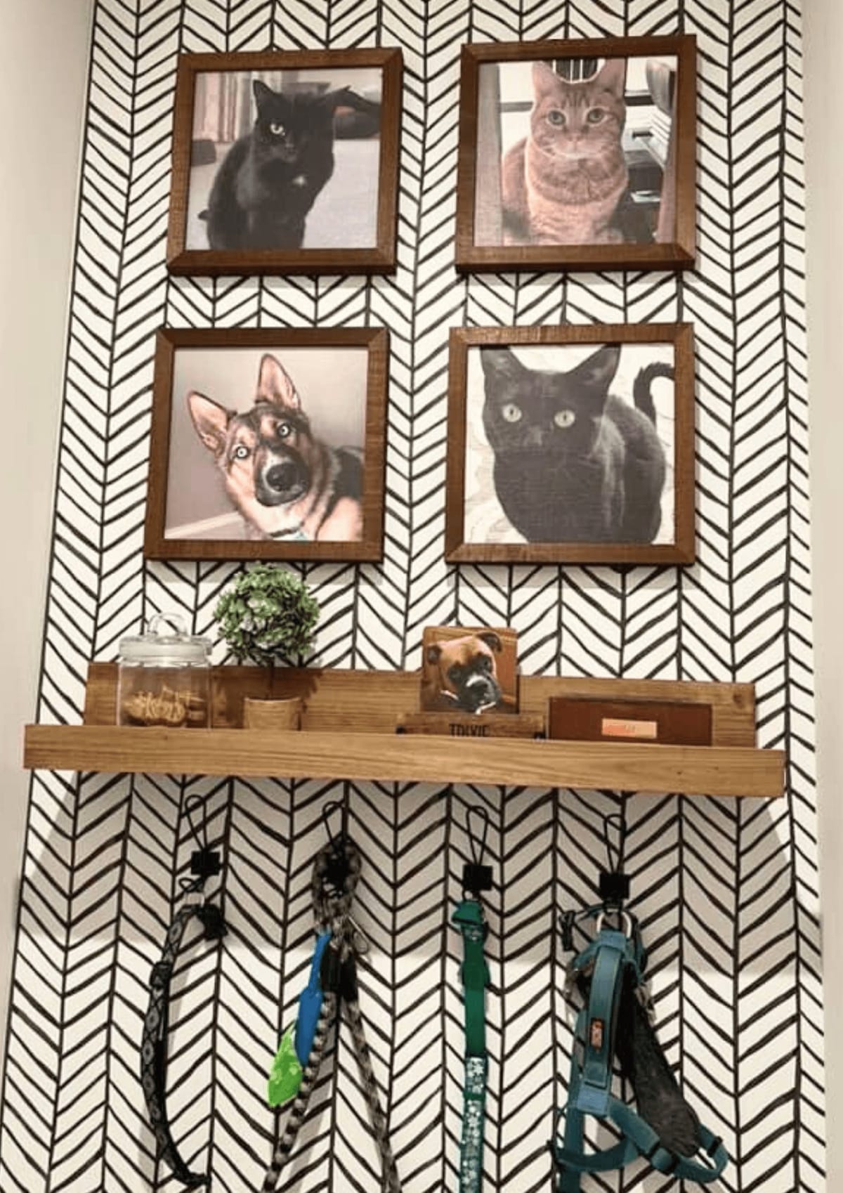 Hallway gallery wall of framed cat prints above a coat shelf